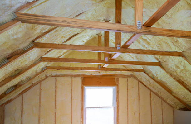 Best Residential Insulation in Dresser, WI